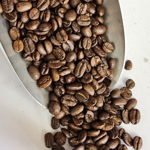 Nicaragua (300 g, bio-équitable)